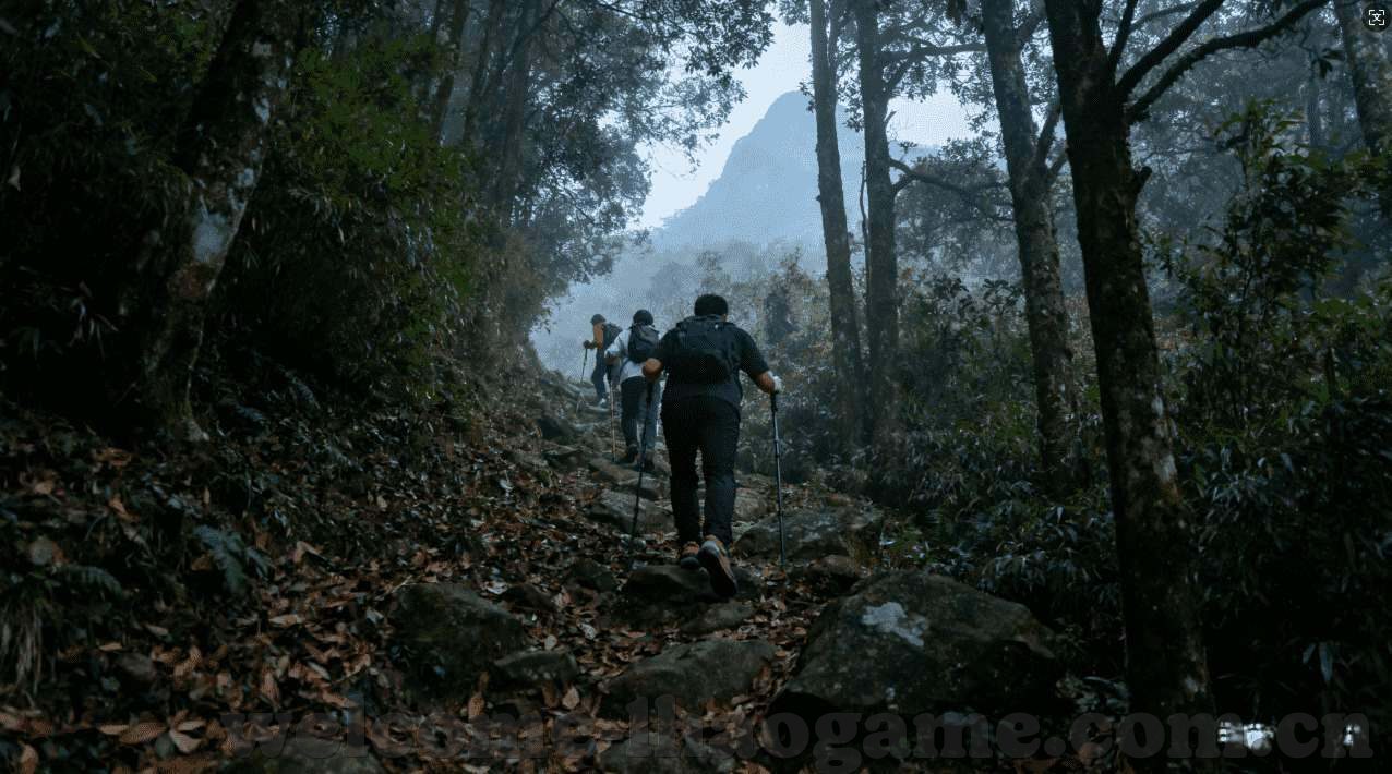 世界杯买彩票微博-世界杯买彩票微博，一场激情与期待的盛宴